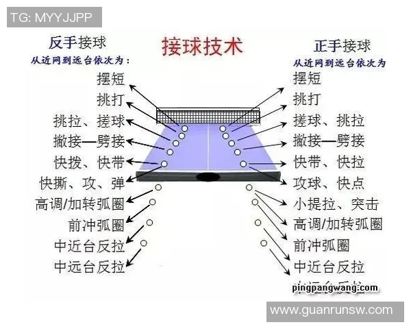 体育实时数据聚焦乒乓球杭州乒乓球队的速度训练与比赛策略探讨 体育实时数据聚焦乒乓球杭州乒乓球队的速度训练与比赛策略探讨